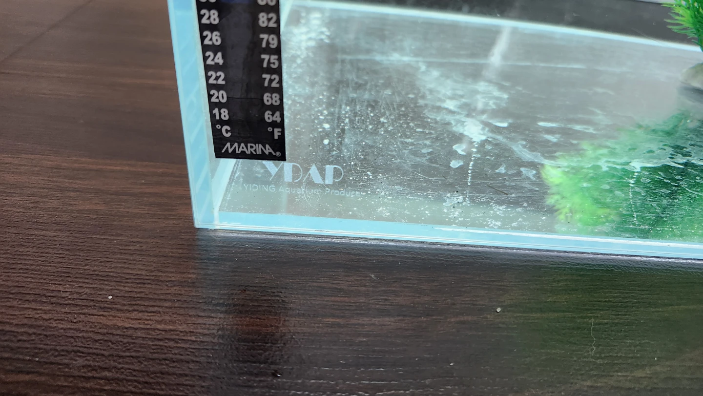 High quality 15 gallon rimless tank - photo 5