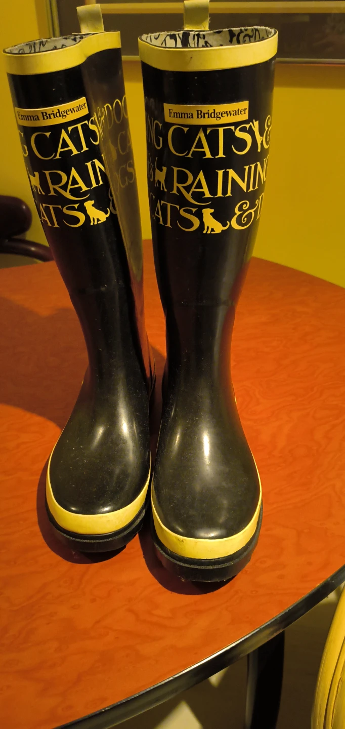 Emma Bridgewater "Cats & Dogs" Rain Boots