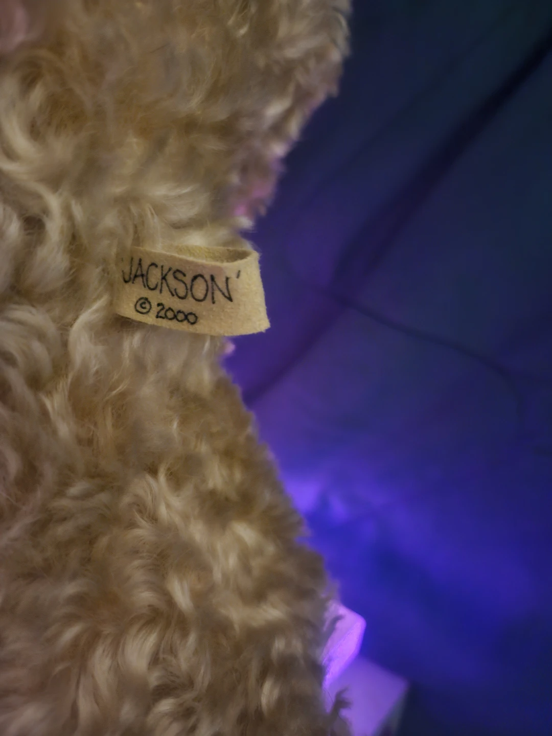 Johnny Bears Jackson Teddy Bear - photo 2
