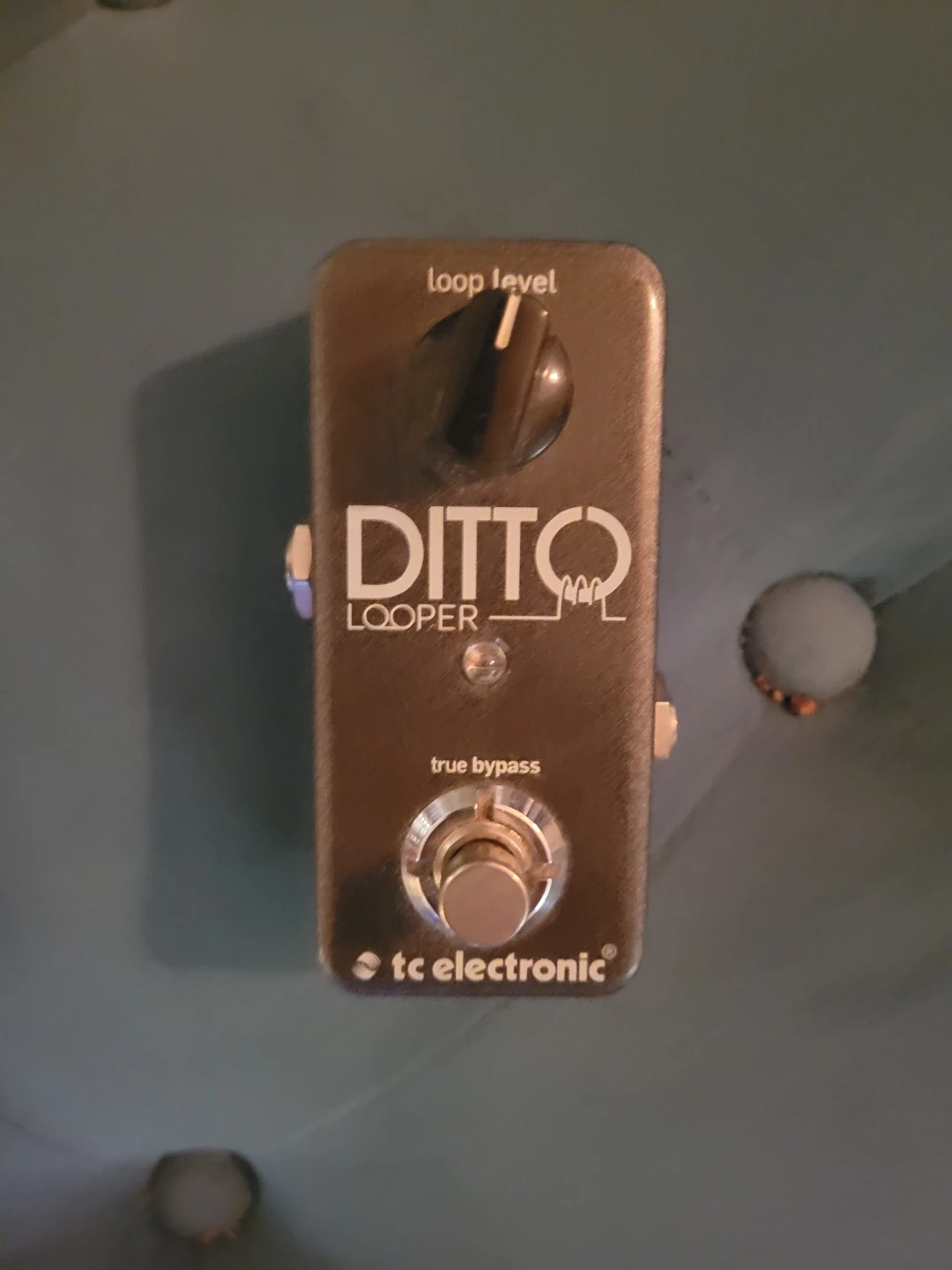 TC Electronic Ditto Looper Guitar Pedal