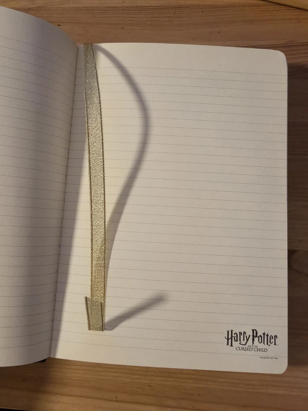 Harry Potter and the Cursed Child Notebook - photo 2