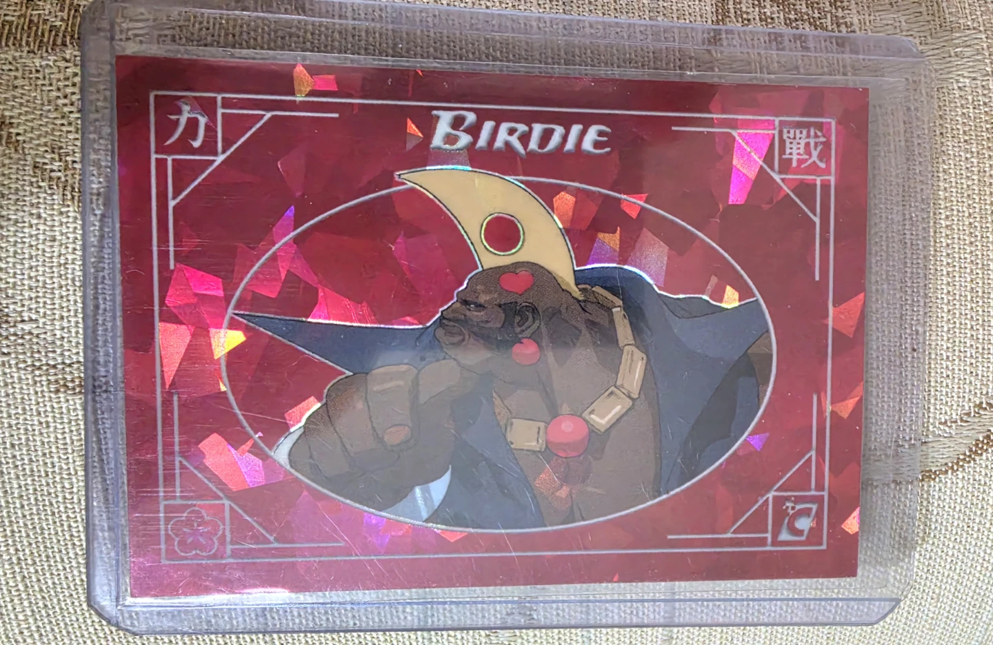 Street Fighter Alpha Warriors Dreams Birdie Trading Card 13/25