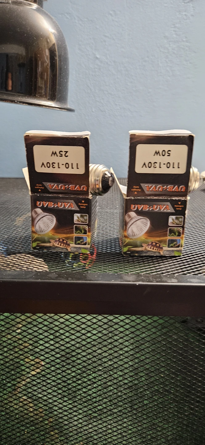 UVB+UVA Halogen Lamp 25W & 50W for Reptiles
