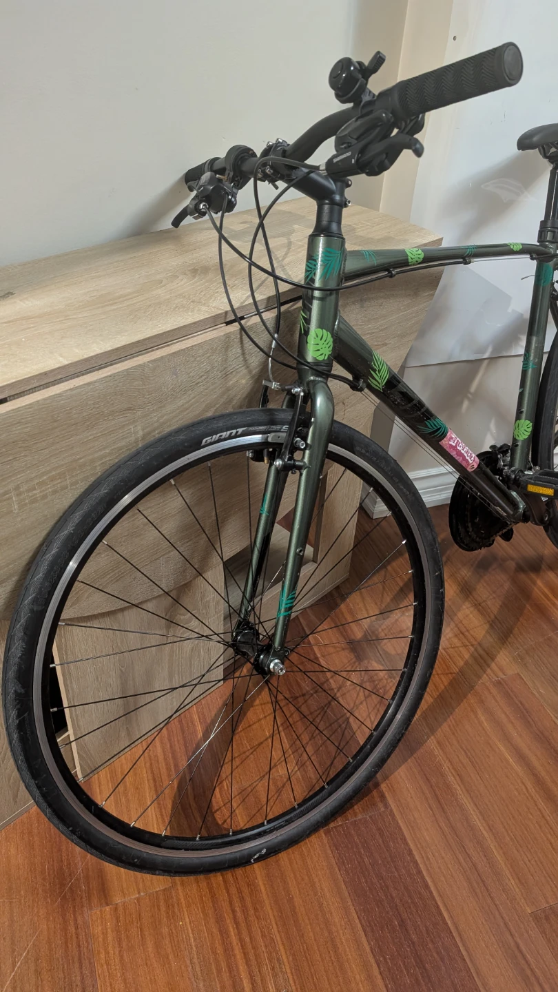 Giant Escape 2 City Bike - Size L - photo 2