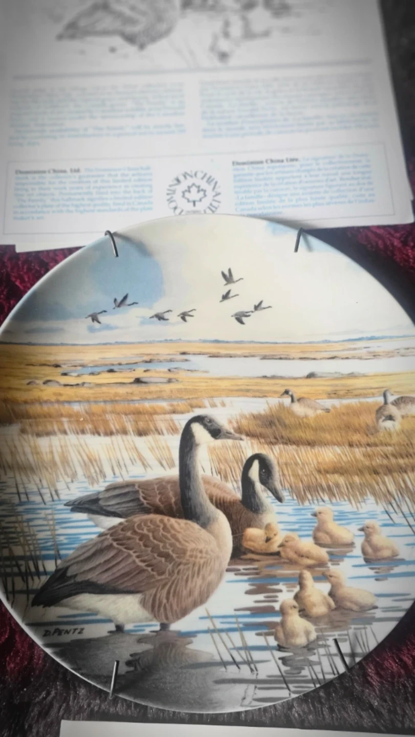 Collectable Vintage Plates in perfect  condition. - photo 5
