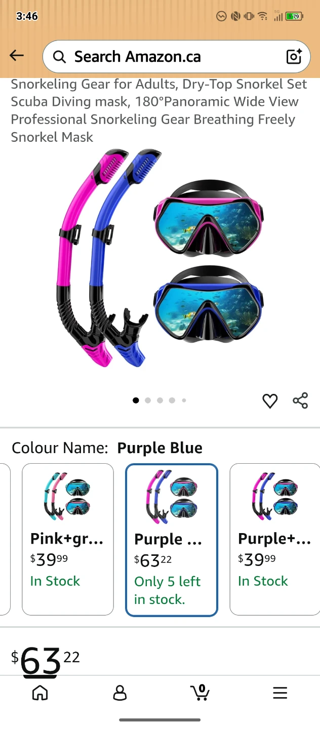 Adult Snorkel Set - Purple Blue