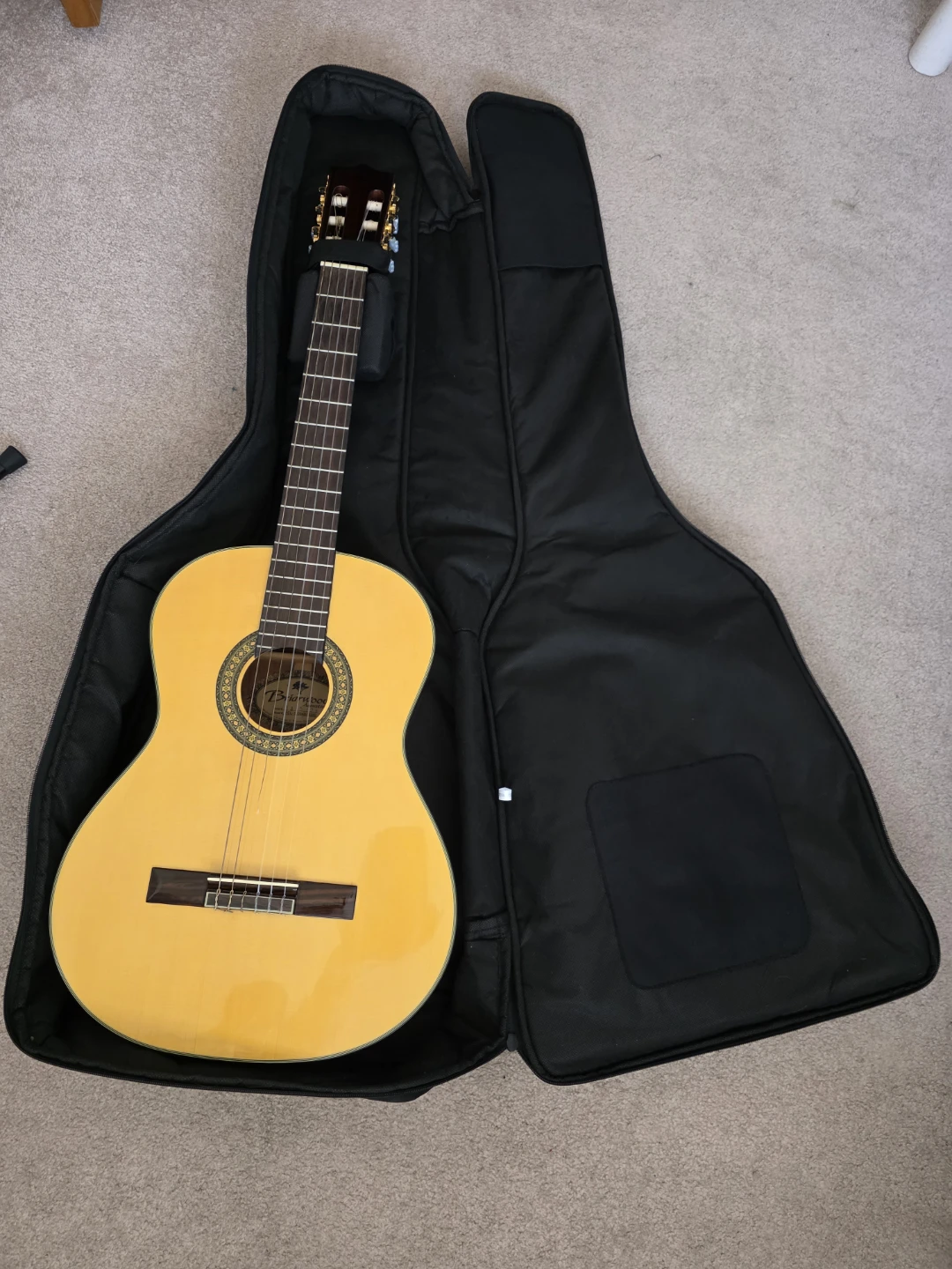 Briarwood YCL-1 Guitar with Case and Stand