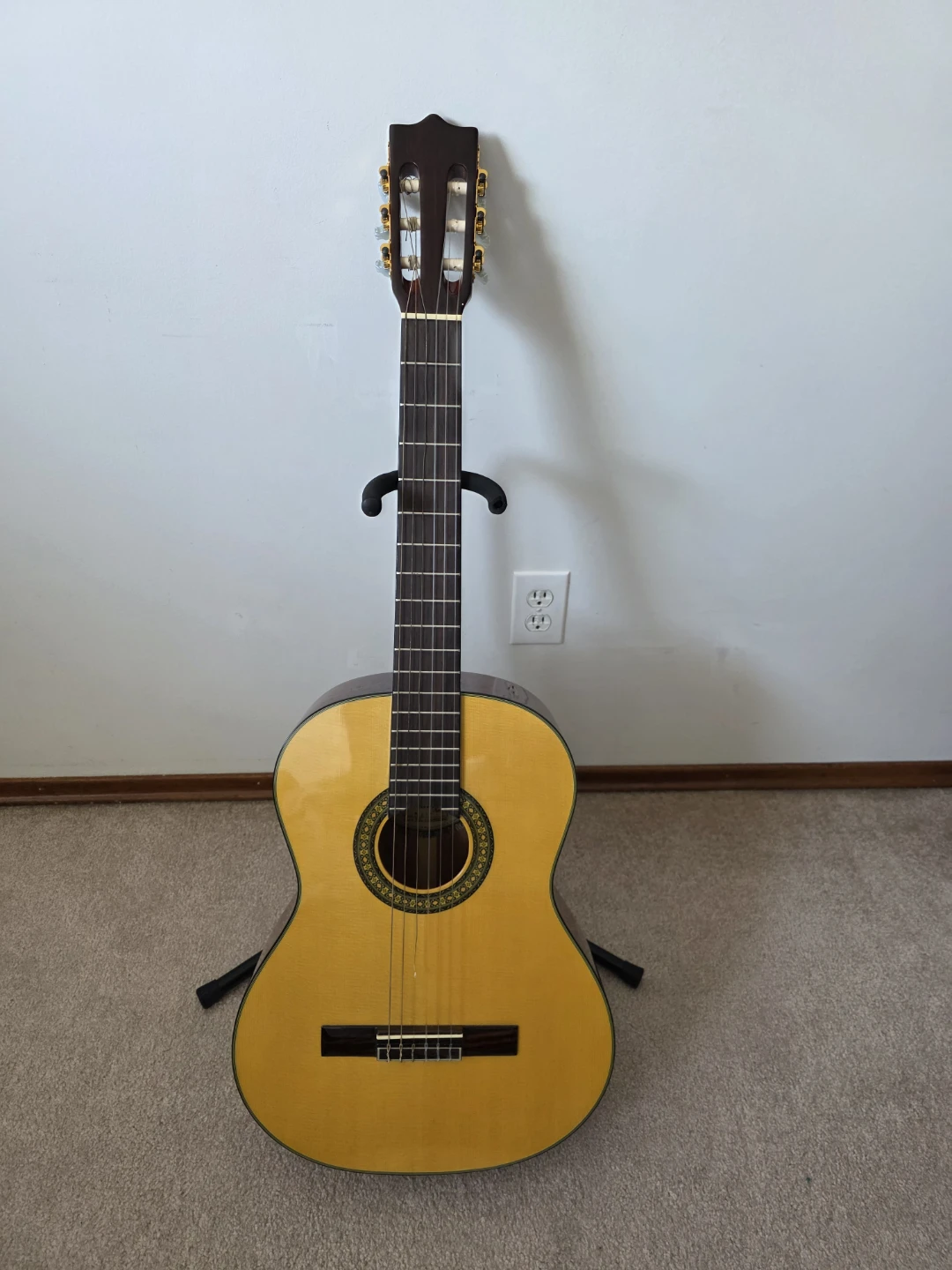 Briarwood YCL-1 Guitar with Case and Stand - photo 2