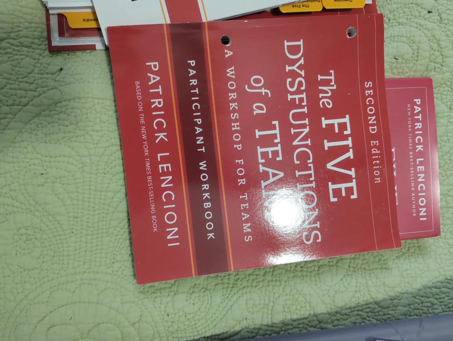 Patrick Lencioni The Five Dysfunctions of a Team Book Set - photo 4