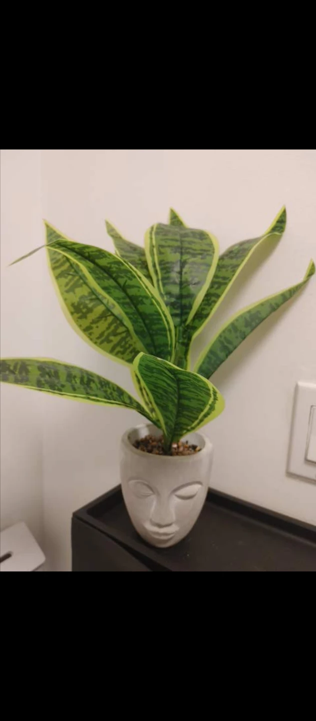 Artificial  Plant in Face Pot New