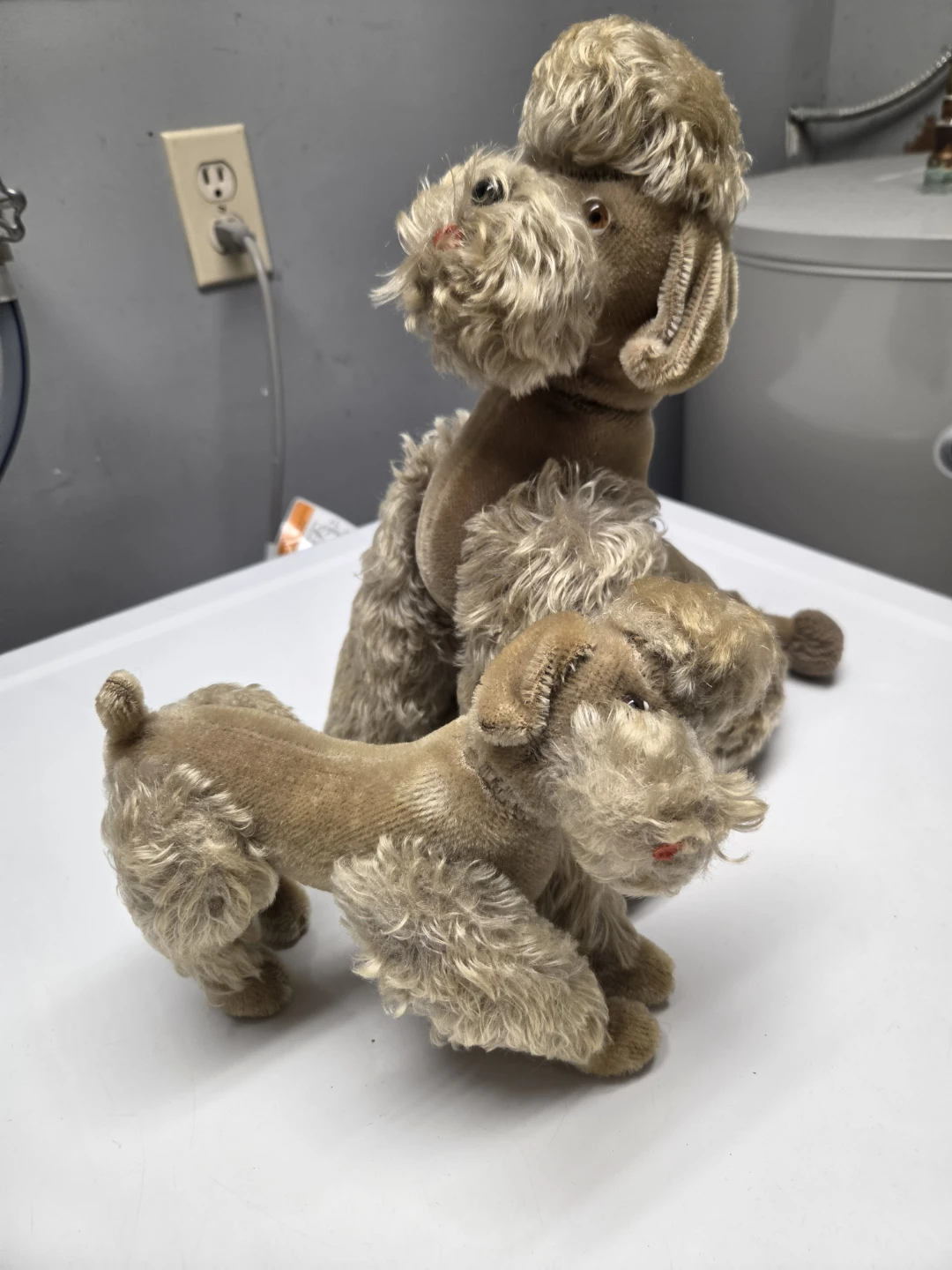 Steiff Snobby Poodles - photo 2