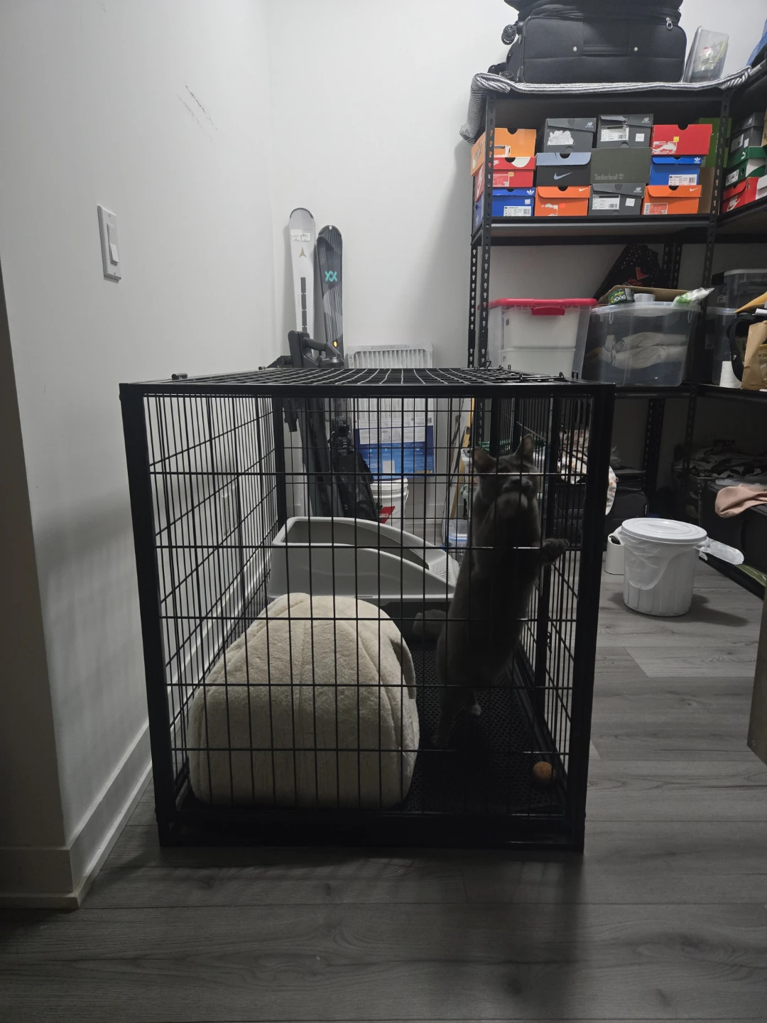 Large Metal Pet Dog Crate - photo 3