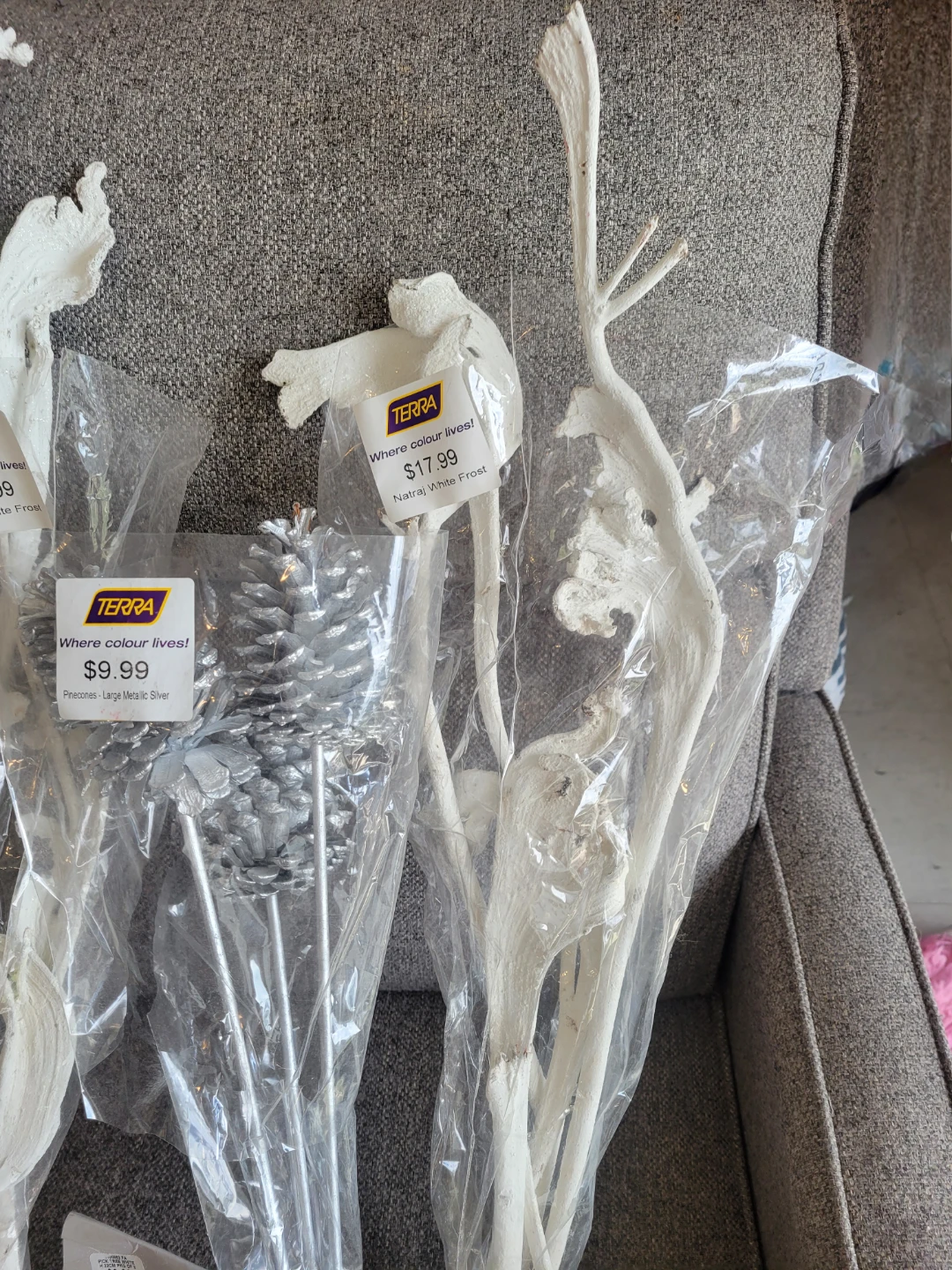 Decorations Lot (Terra) - photo 3