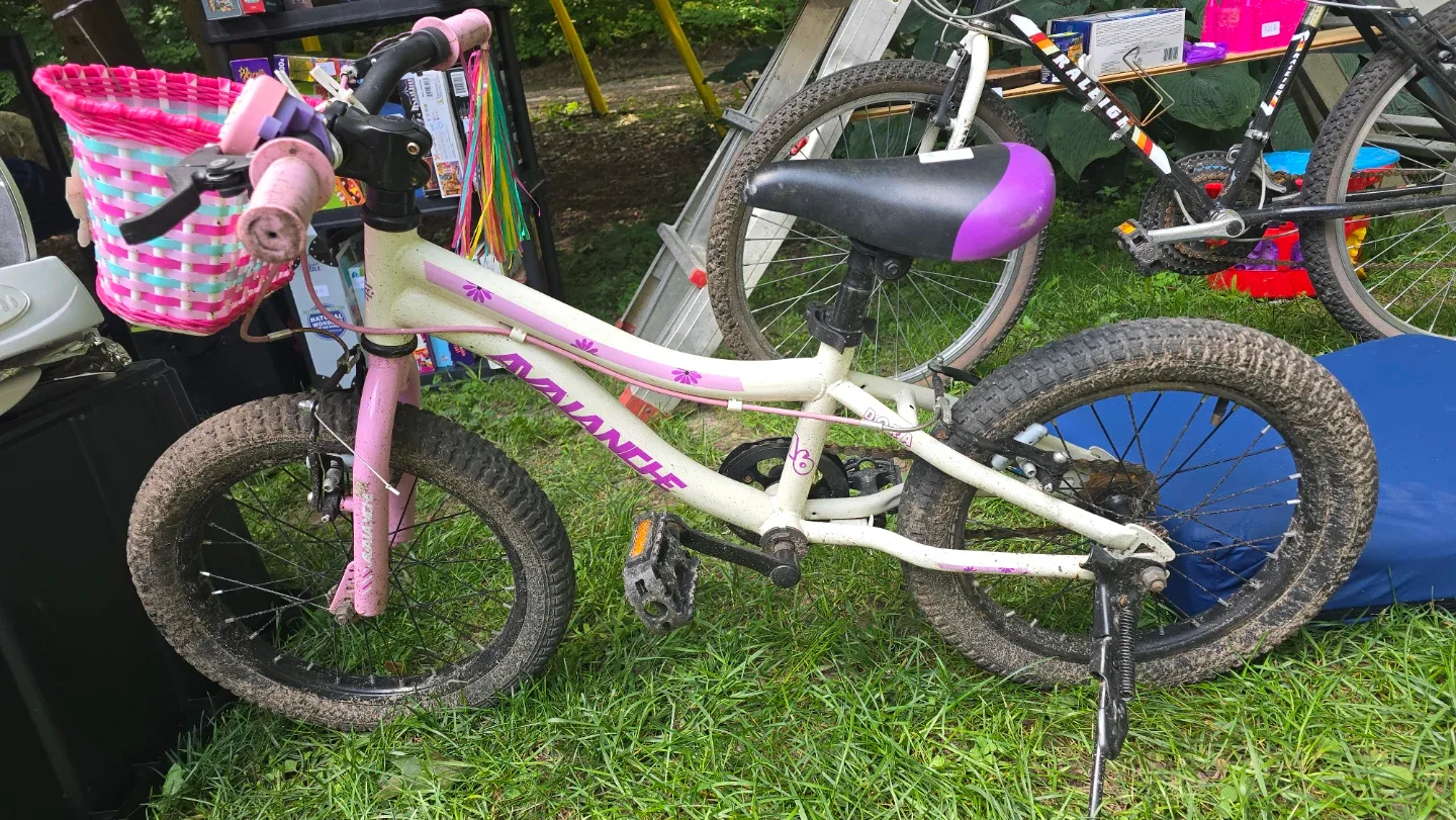 Avalanche Kids Bike