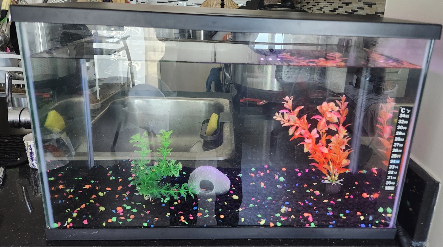 Top Fin Aquarium Starter Kit - photo 3