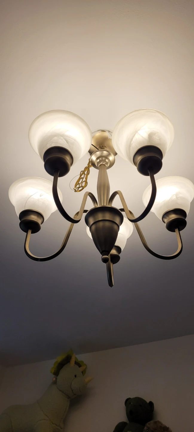 5-Light Chandelier Fixture