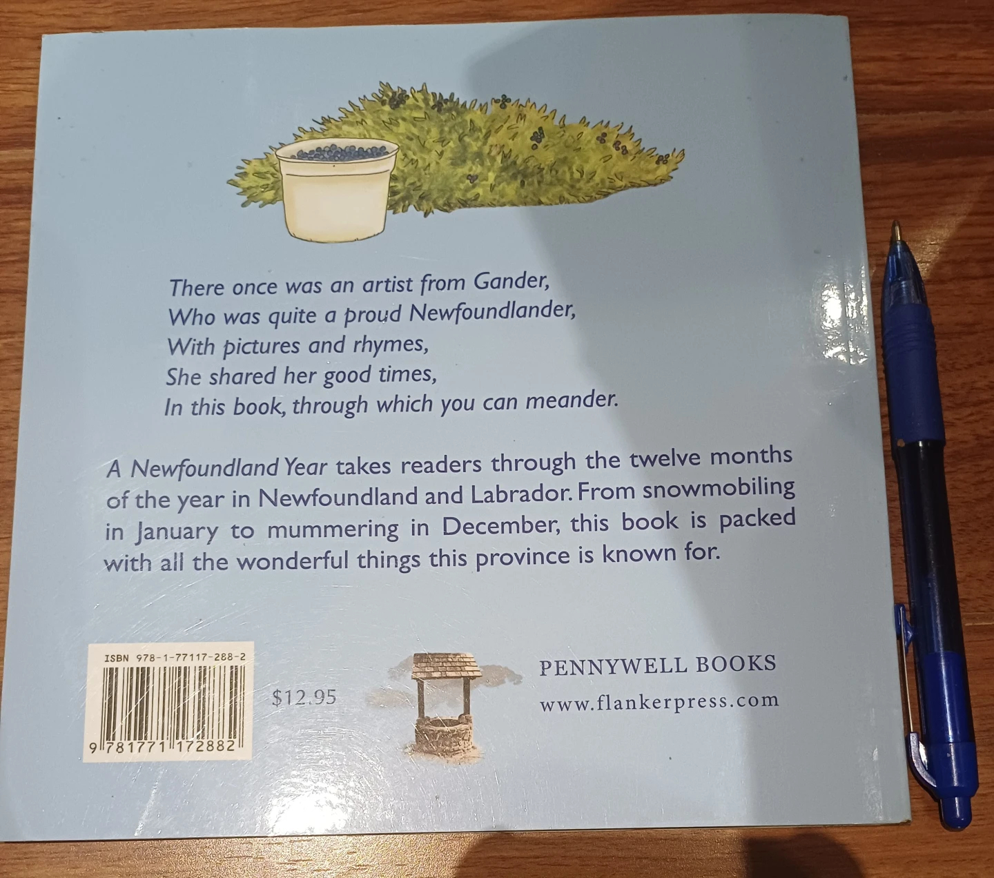 A Newfoundland Year - Children's Book by Dawn Baker - photo 2