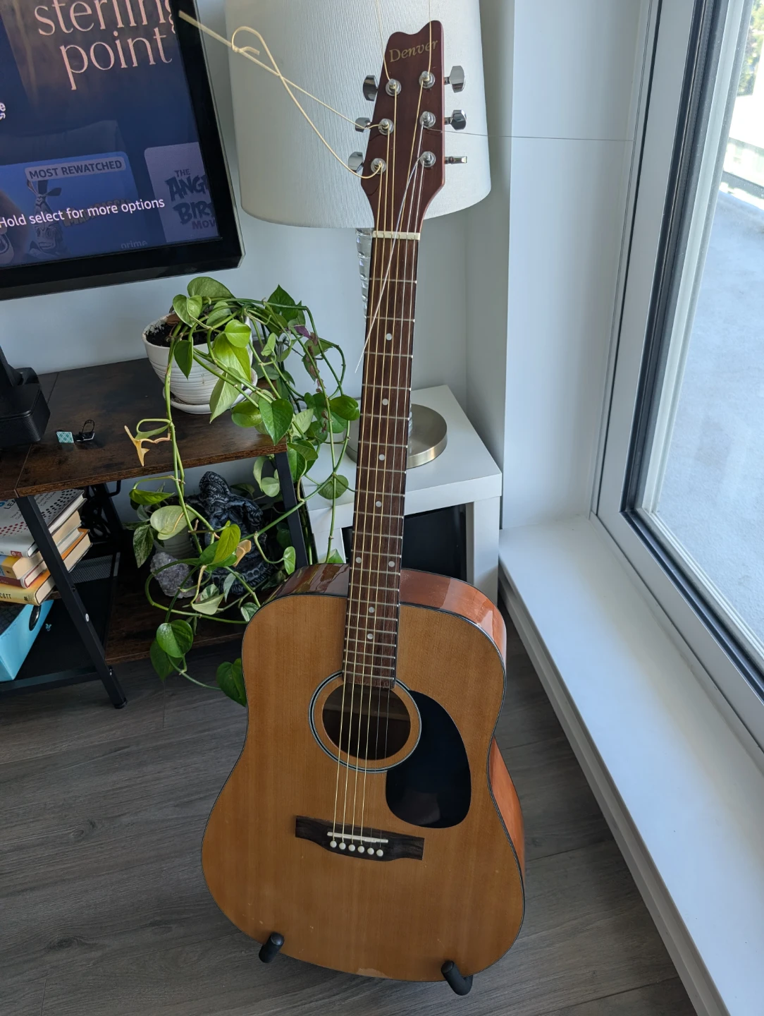 Denver Acoustic Guitar