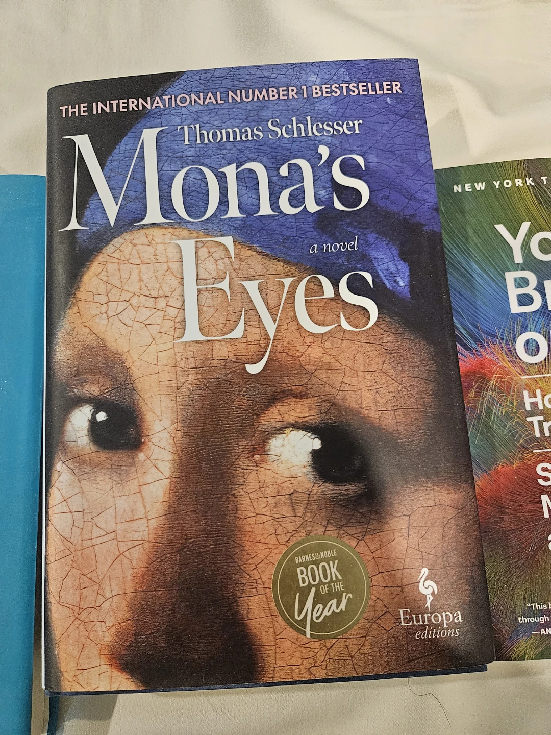 Mona's Eyes Novel by Thomas Schlesser