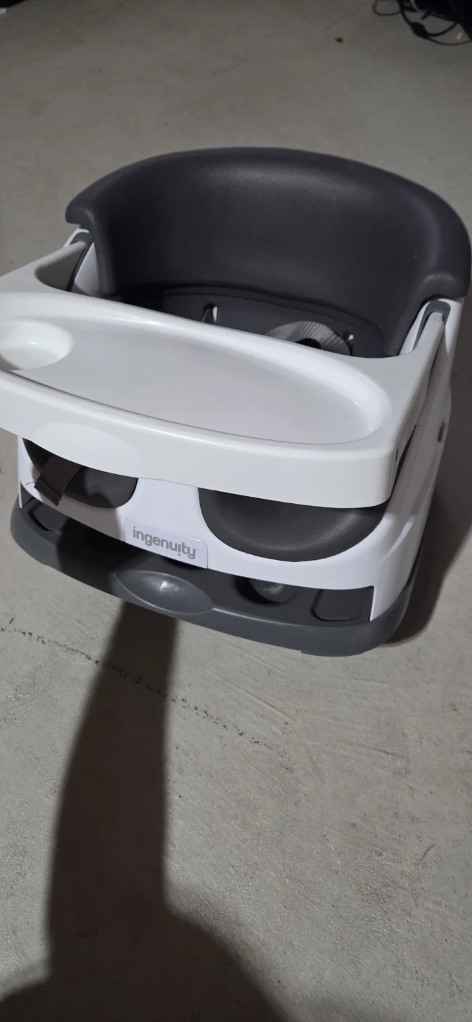 Ingenuity Baby Booster Seat with Tray