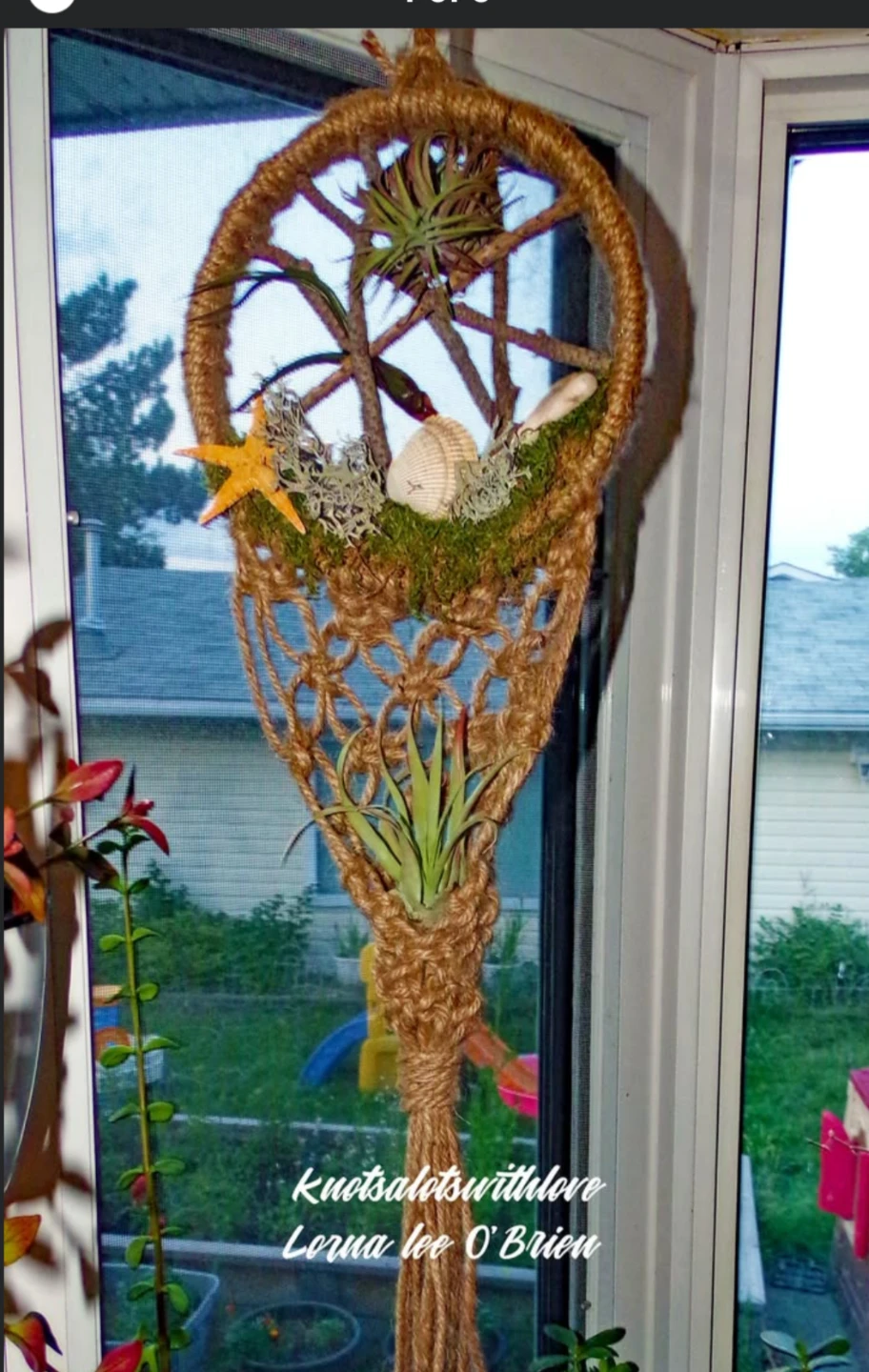 Air plant holder - photo 2
