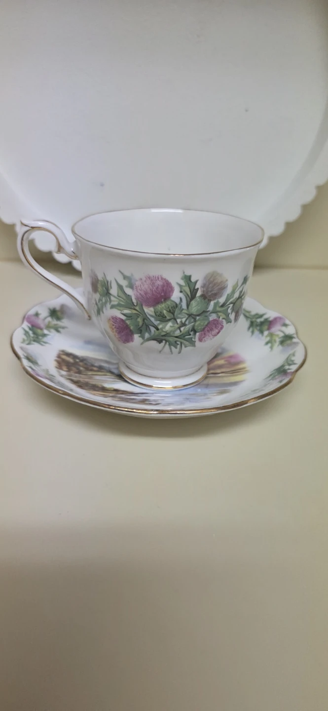Royal Albert Bonnie Banks O' Loch tea cup and Saucer - photo 3