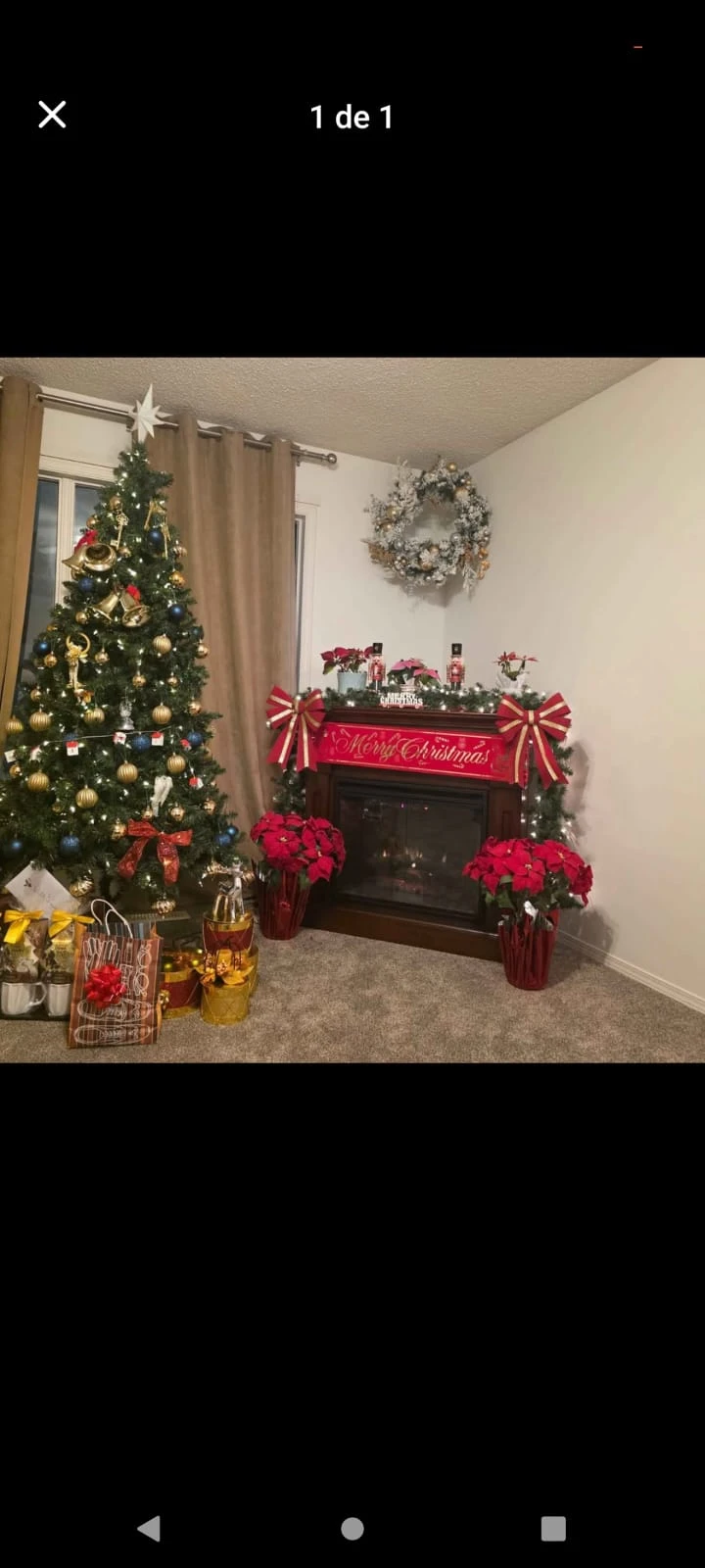 Christmas Tree & everything else