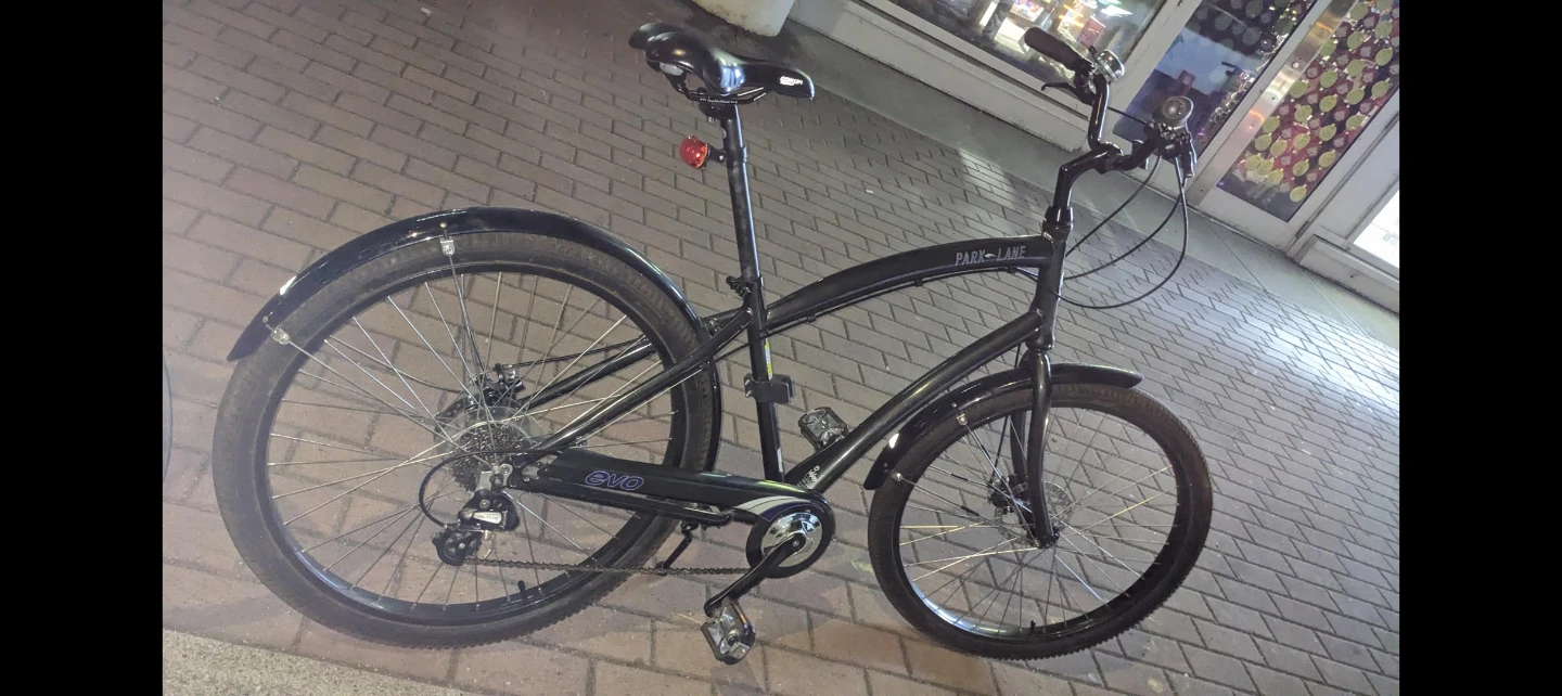 Adjustible height, tall Park Evo cruiser - photo 2