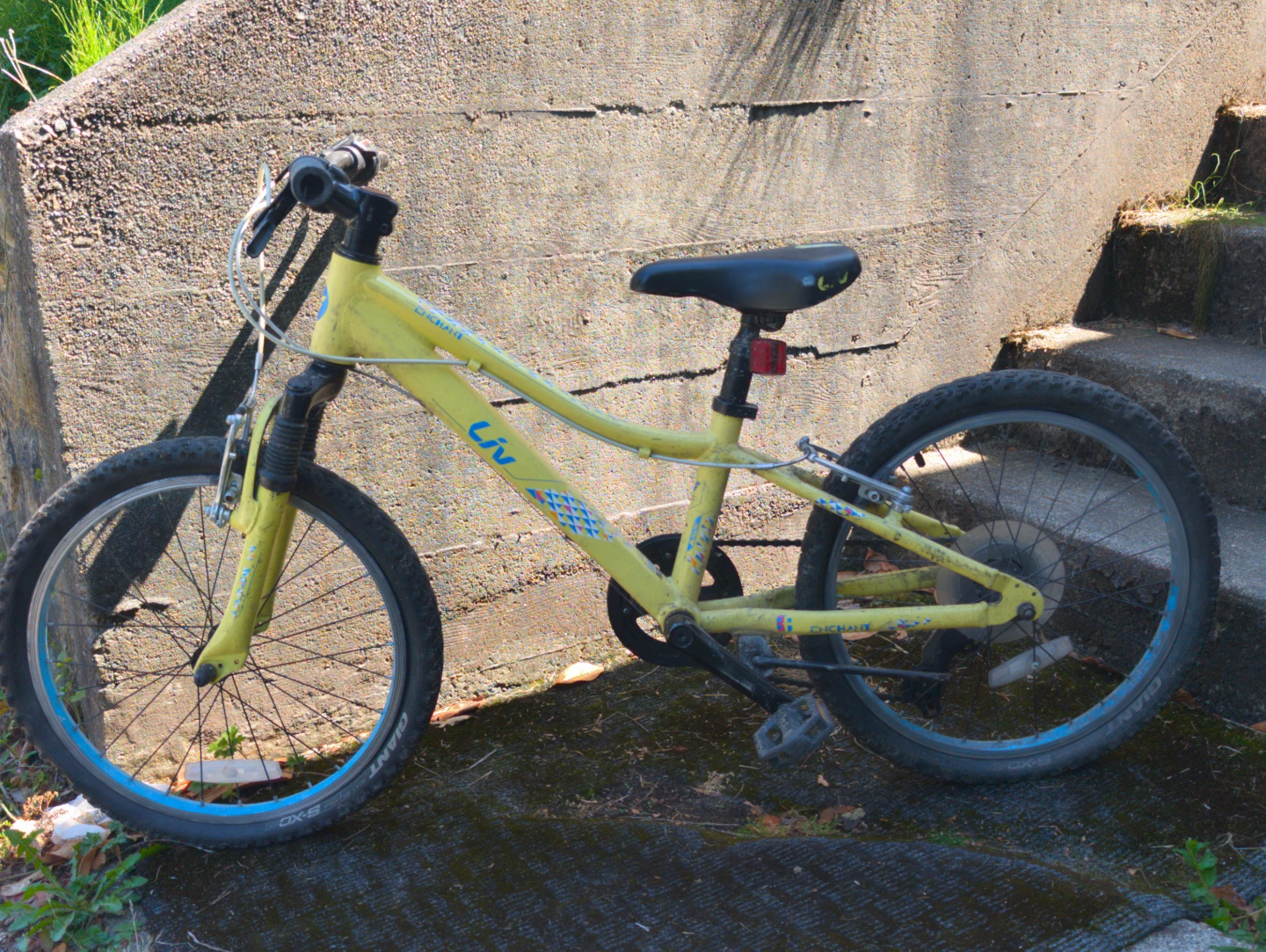 Liv Kids' Bike