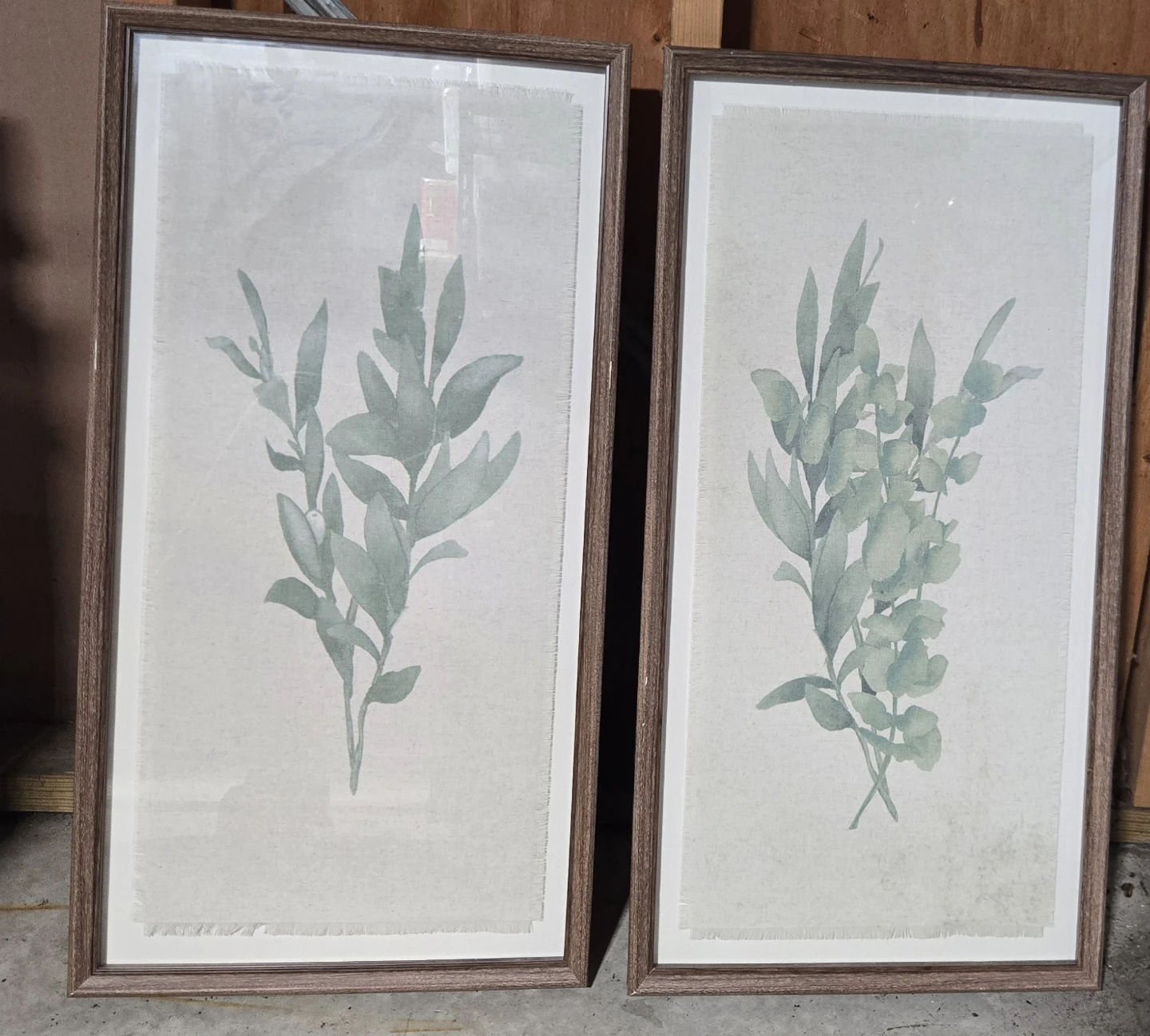 Set of 2 Framed Botanical Prints