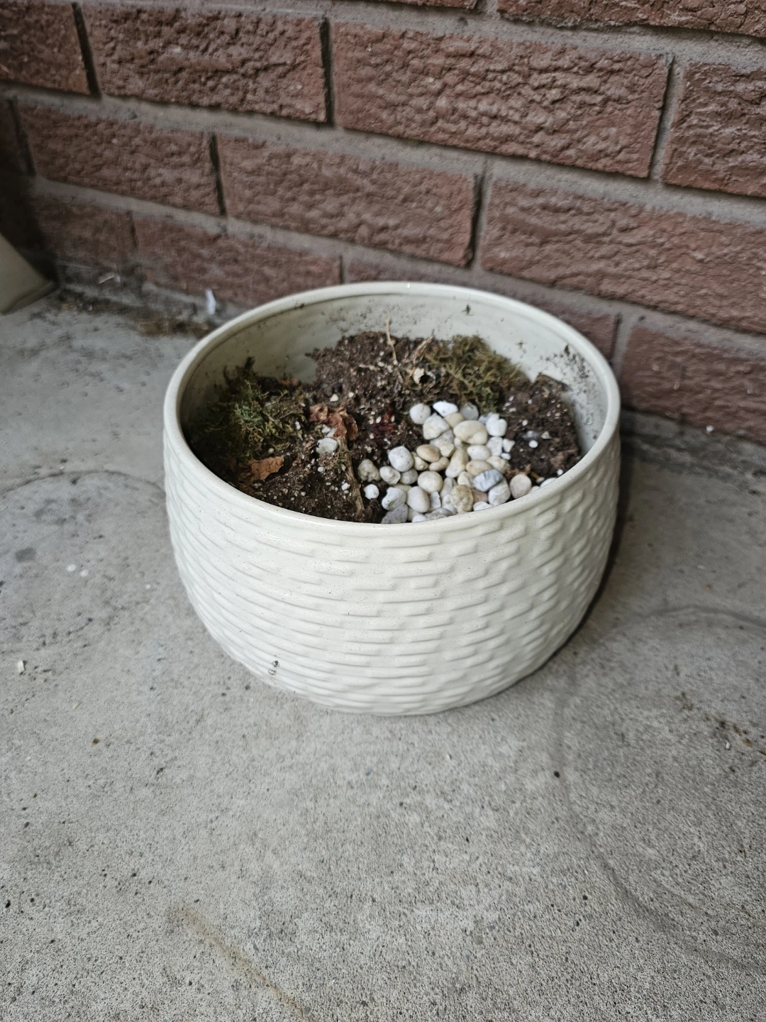 Textured Ceramic Pot