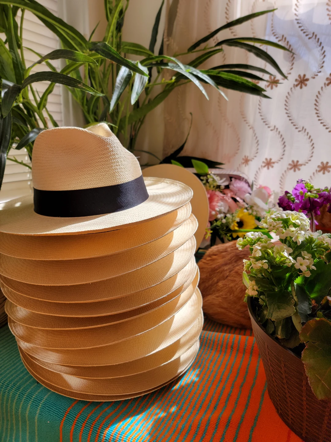 Panamá hats clásico - photo 4