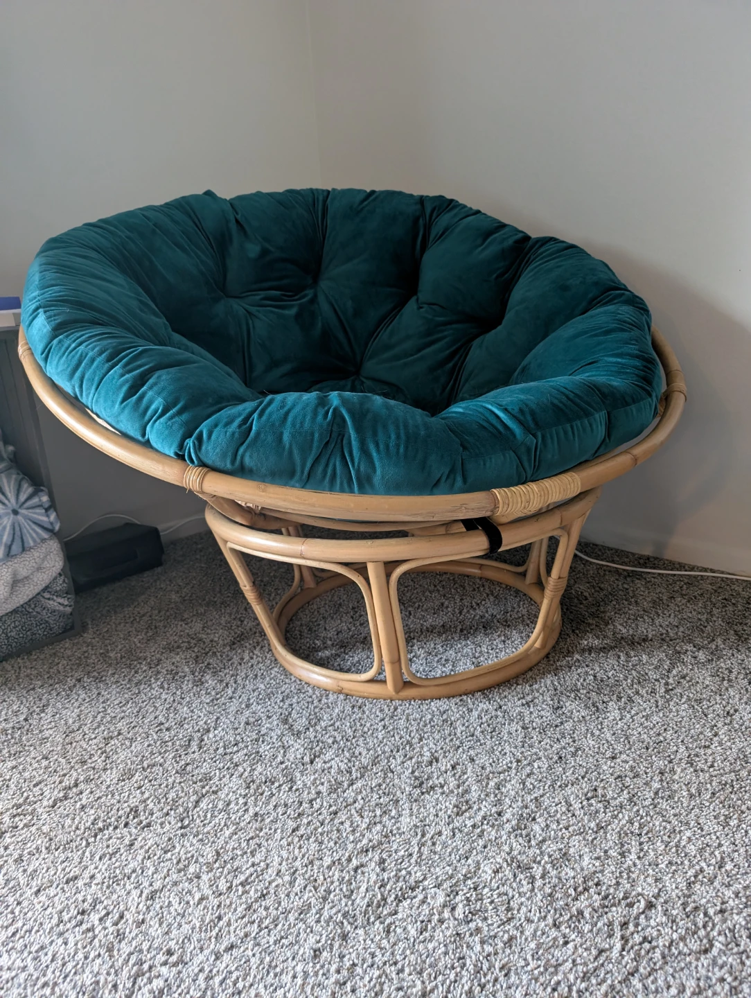 Teal Papasan Chair - photo 2