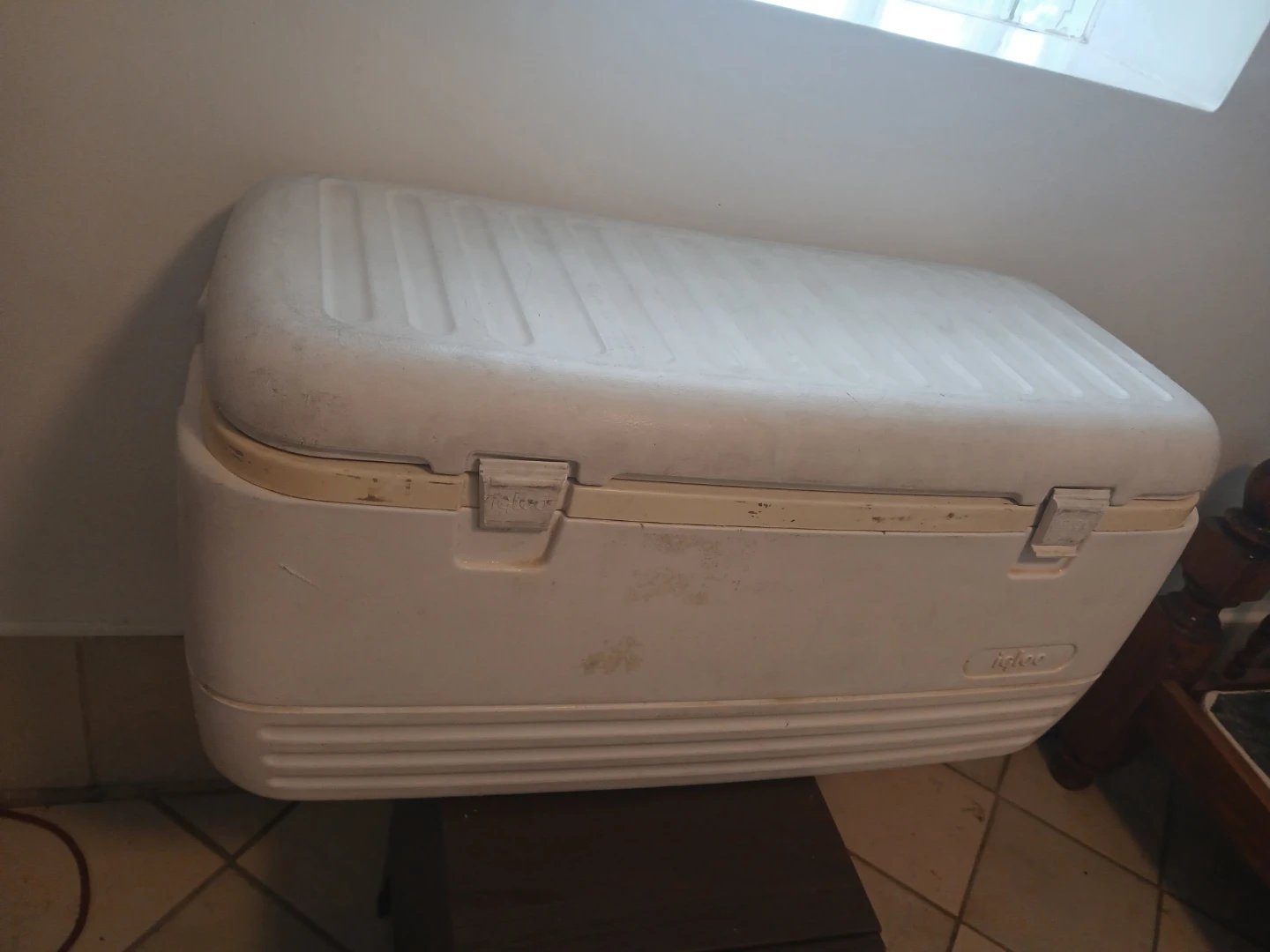 Large cooler