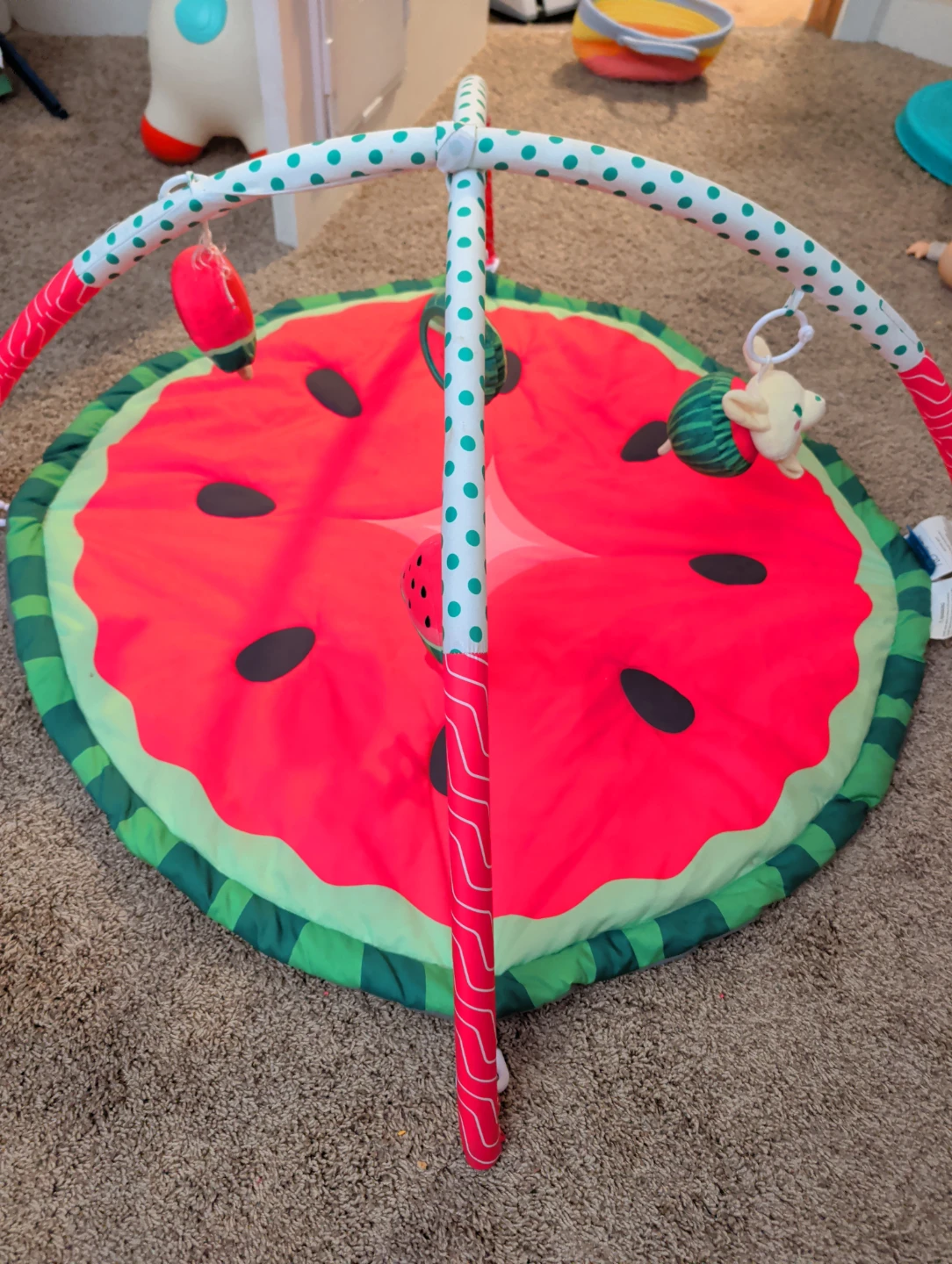 Watermelon Baby Play Gym