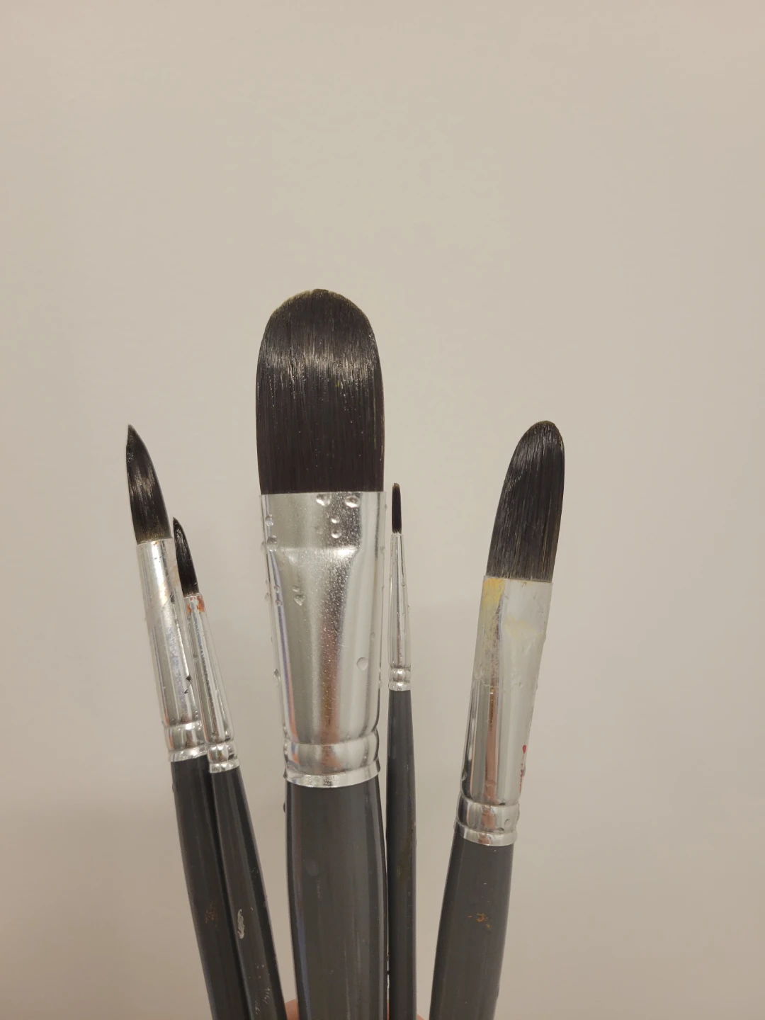 Premium Artist Brushes - Set of 5