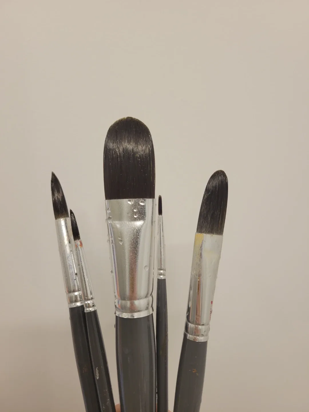 Premium Artist Brushes - Set of 5