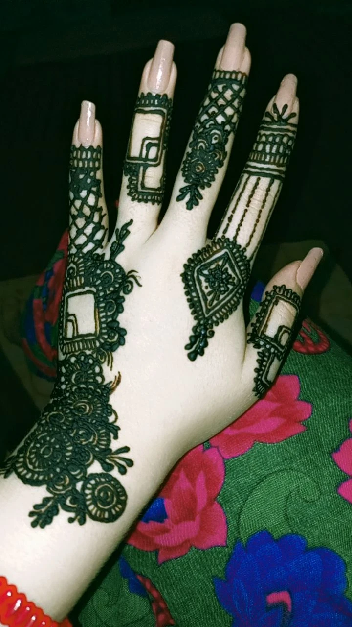 Intricate Henna Hand Design