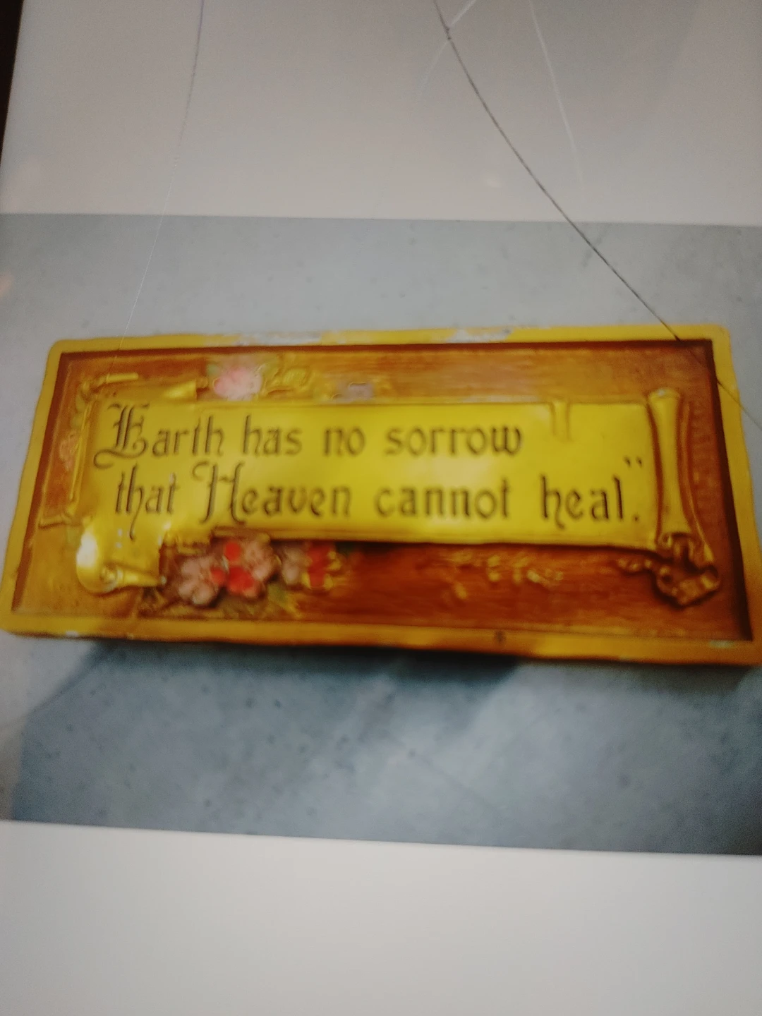 Decorative Wall Plaque "Earth has no sorrow"
