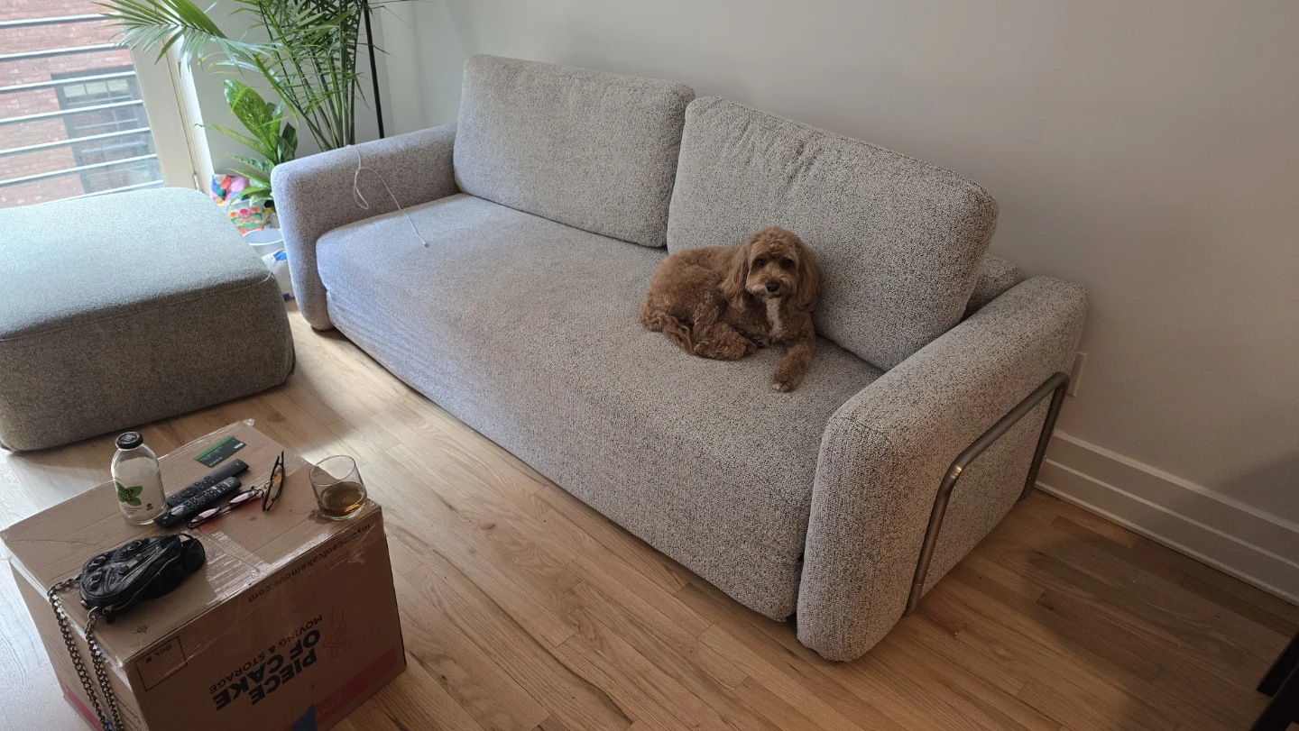 Modern Sofa Bed 92"