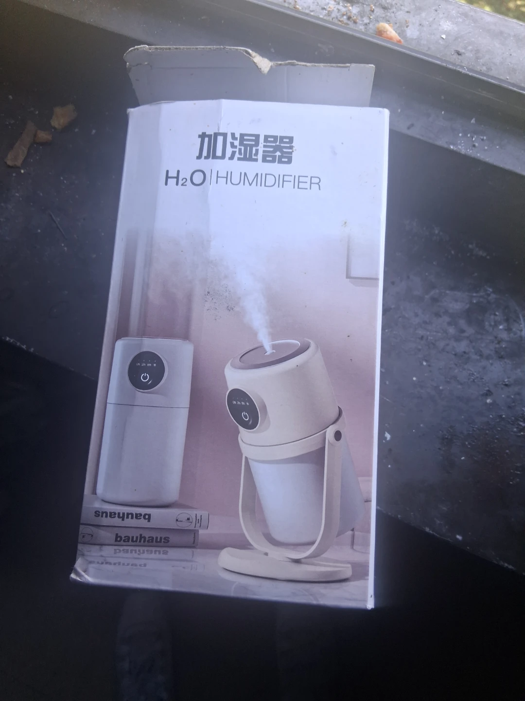 H2O Humidifier