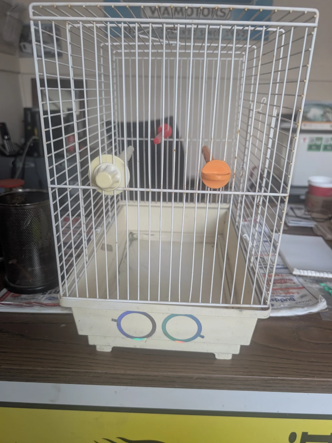Bird Cage - photo 2