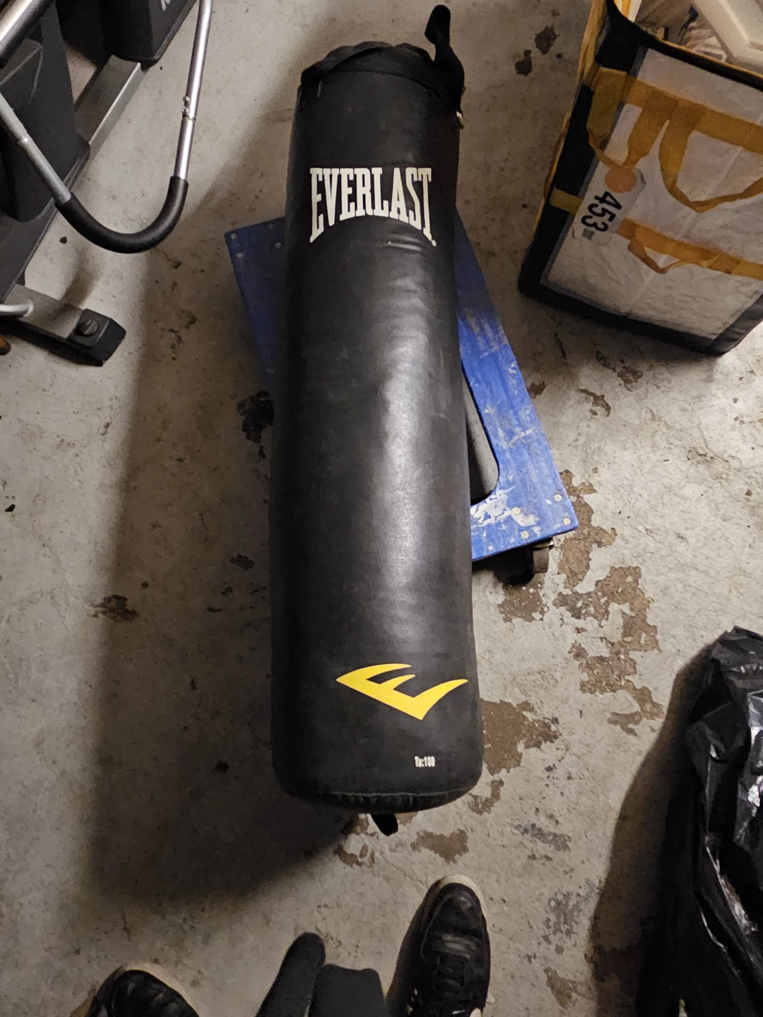 Everlast Punching Bag