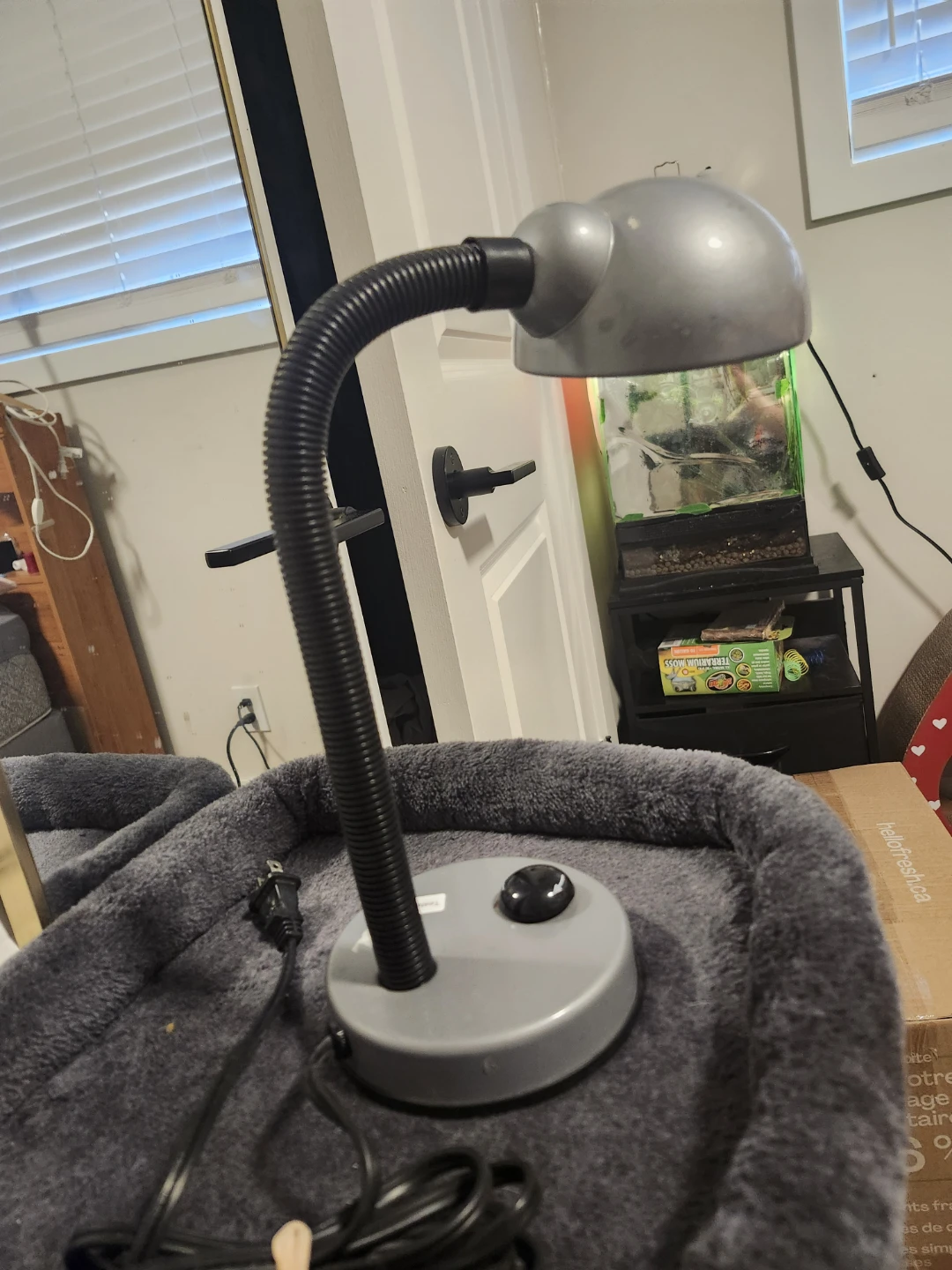 Silver Gooseneck Desk Lamp