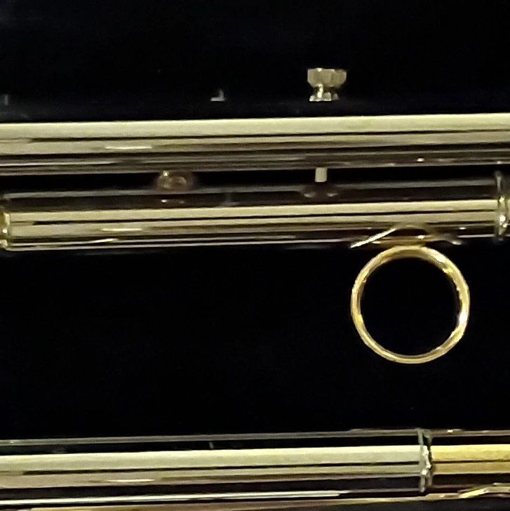Jean Paul Trumpet with Case and Accessories - photo 4