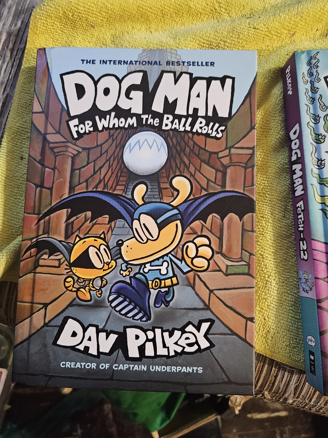 Dog Man Books: For Whom the Ball Rolls & Fetch-22 - photo 4