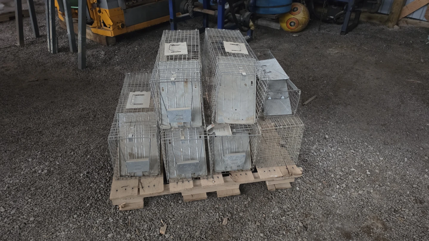Live Animal Traps