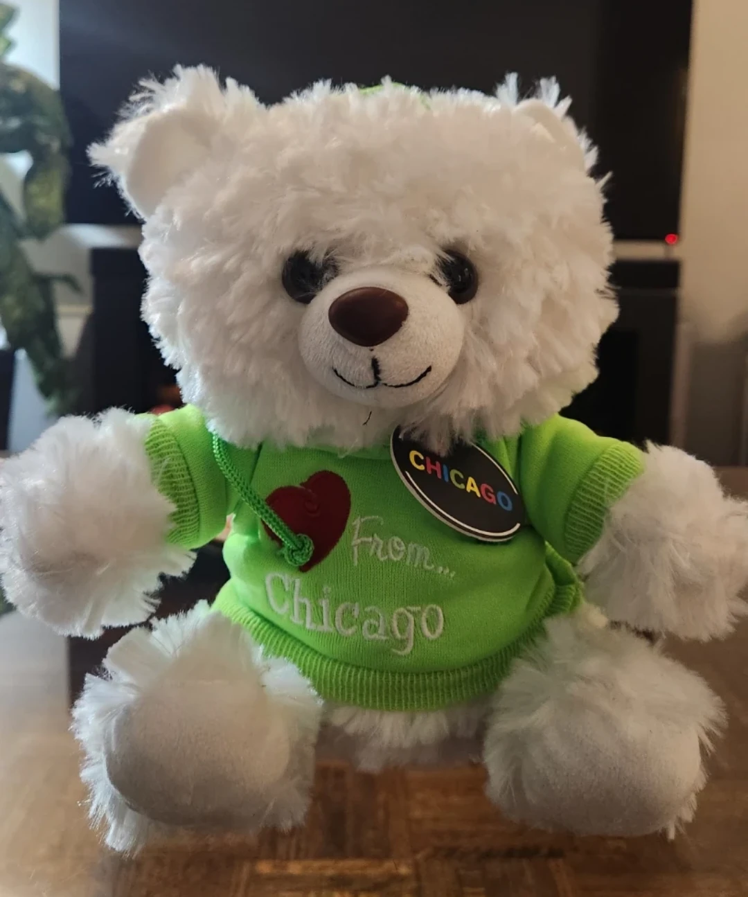 Plush Bear "From Chicago"