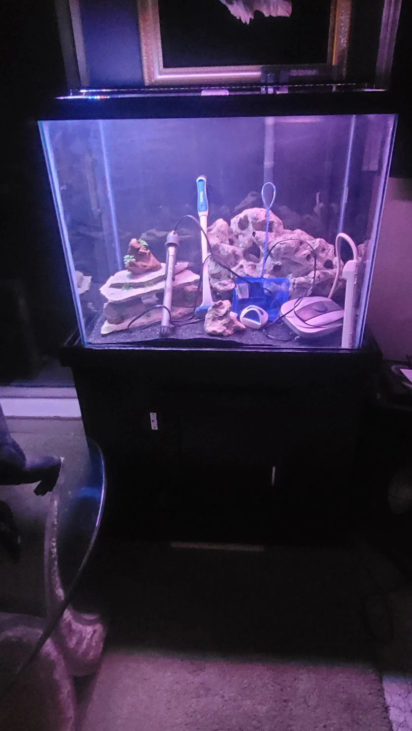 Aquarium with Stand and Accessories