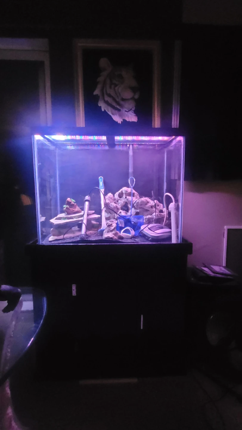 Aquarium with Stand and Accessories - photo 2